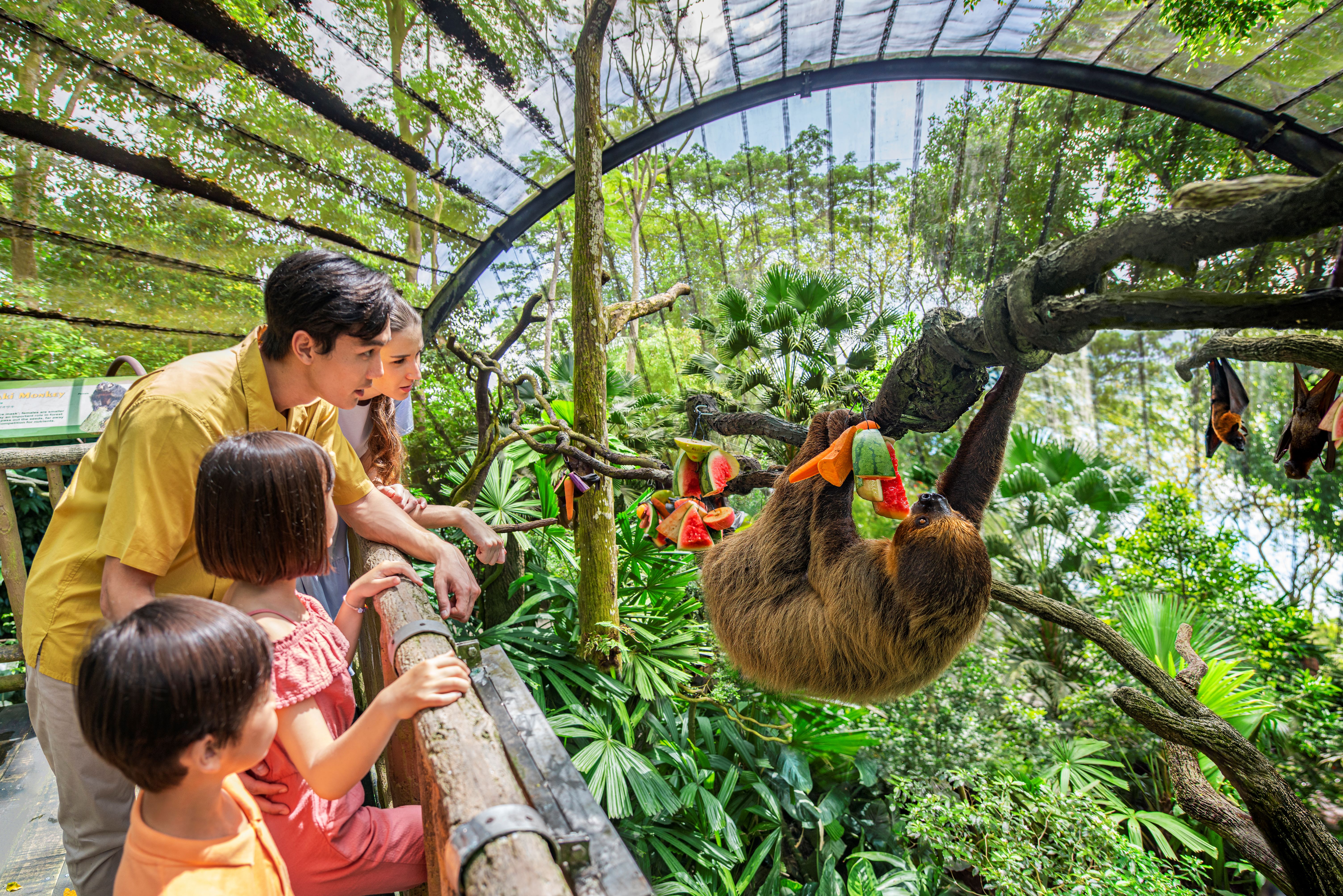 動物たちが近い！『シンガポール動物園』へご案内